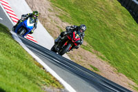 Oulton-Park-20th-March-2020;PJ-Motorsport-Photography-2020;anglesey;brands-hatch;cadwell-park;croft;donington-park;enduro-digital-images;event-digital-images;eventdigitalimages;mallory;no-limits;oulton-park;peter-wileman-photography;racing-digital-images;silverstone;snetterton;trackday-digital-images;trackday-photos;vmcc-banbury-run;welsh-2-day-enduro